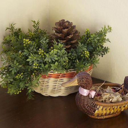 Casa Rural Olga เอลปาโซ ภายนอก รูปภาพ