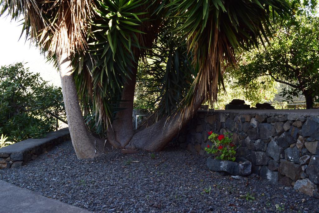 Casa Rural Olga เอลปาโซ ภายนอก รูปภาพ