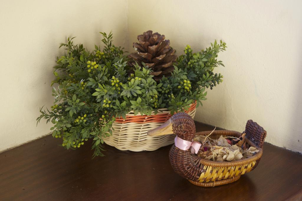 Casa Rural Olga เอลปาโซ ภายนอก รูปภาพ